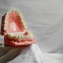 연세봄치과의원 이미지