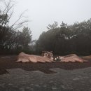 제황산공원(제황산부엉이) 이미지