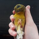 프롬제이 이미지