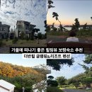 더반 힐 글램핑 이미지