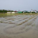 광양농협미곡종합처리장 이미지