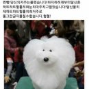 희 이미지