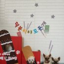 덕분이야모든개 이미지