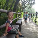 혜선농장 이미지