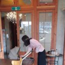 올리브트리스튜디오 이미지