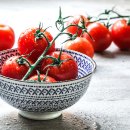 토마토 이미지