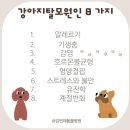 김민재동물병원 이미지