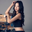 리플라워 Daum카페