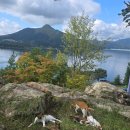 청풍목장 | 제천 단양 가볼만한 곳 액티비티부터 맛집까지