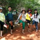 계족산황톳길 이미지