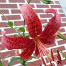 황금장터 - 남구 중앙로 255 | 황금장터