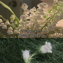 여시 - 청주시 흥덕구 풍산로 110-1 | 여시
