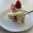 수다하우스 | 케이크가 맛있는 광안리 디저트맛집 ‘ 그랜드파더케이크하우스 ’ 내돈내산 후기 🍰