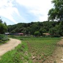 검봉산칡국수 Daum카페