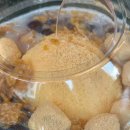 Honey Mocha(허니모카) 이미지