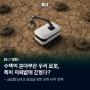 우리로봇