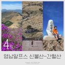 영남알프스 복합웰컴센터 세미나실 | 영남 알프스 7봉 완등 신불산 - 간월재 - 간월산 공룡능선 칼바위 코스 등산 후기