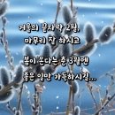 삼일절에 이미지