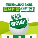 골세터 이미지