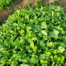 은찬농장 이미지