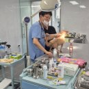 경남동물병원 이미지