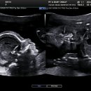 리앤아이산부인과의원 이미지