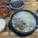 송스코인