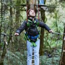 CAFE THE DOG 이미지