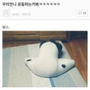 운동하는언니