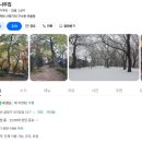 부산 포구나무집 이미지