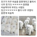 궁잔기지떡포항