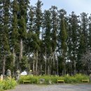 남원읍-41 | 제주 서귀포 아이와 가볼만한곳, 상큼함 터지는 '레몬뮤지엄' 레몬따기 체험 &amp; 한라산 뷰 카페