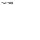 펫바이블 이미지