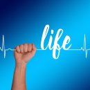 주파수별 인체 반응 분석과 사운드 테라피 효과