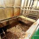 울산광역시 온산바이오에너지센터 연합뉴스