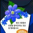 잡초 (雜草)槪論(개론)/광주 파출소장 이미지