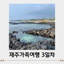 럭키 PC | 제주도 가족여행 3일차/넥슨컴퓨터박물관, 렛츠런파크 제주, 제주마음샌드