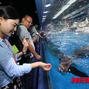 롯데월드아쿠아리움 이미지