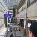 🦷 SIDEX 2026 후기 2편 | 별마당 도서관 + 스타필드 코엑스몰 + 바이킹스워프 코엑스