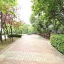 신봉공인중개사사무소 이미지
