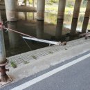 돌마교 아래 이미지