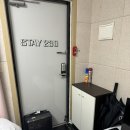 스테이 230 이미지