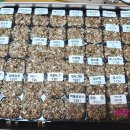 애니오케이 이미지