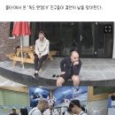 '어서와 한국은 처음이지' 광복절 특집, 몰타 친구들 독도 찾는다 이미지