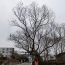 병풍경로당 이미지