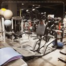 라이즈업 피티짐 이미지