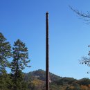 속리산 법주사 이미지