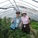 정애농장 이미지