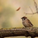 발리짐 노원역점 이미지