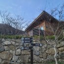 대나무랜드 | 함양 숙소 대봉캠핑랜드 연박후기 대나무 둥지 5호 &amp; 대봉사나래관 이틀 숙박